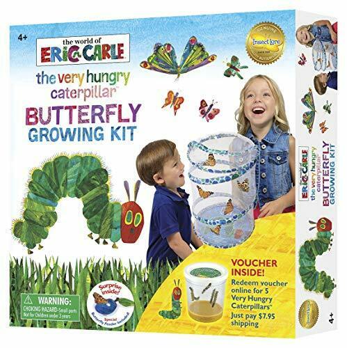 The Very Hungry Caterpillar - Butterfly Growing Kit